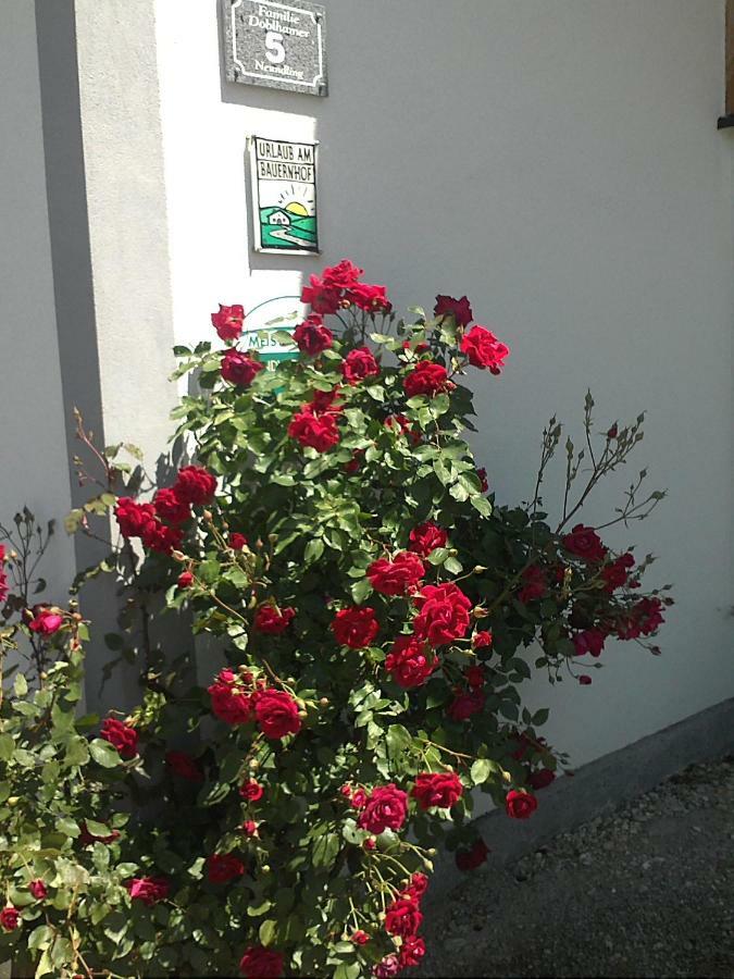 Schnatterhof Villa Lambrechten ภายนอก รูปภาพ